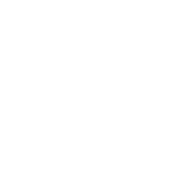 Shiroshi Ink